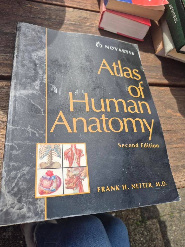 Atlas of Human Anatomy - Frank H. Netter, M.D. (2e editie), Gelezen, Frank H. Netter, Beta, HBO