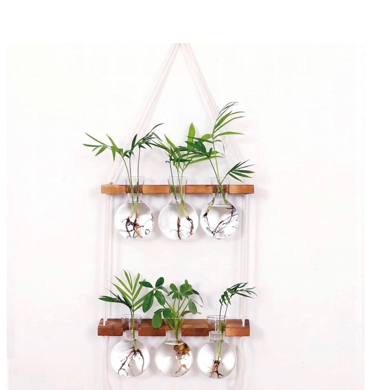 Hangende plantenhouder met glazen vazen, Hout, Meerkleurig, Nieuw, Ophalen of Verzenden