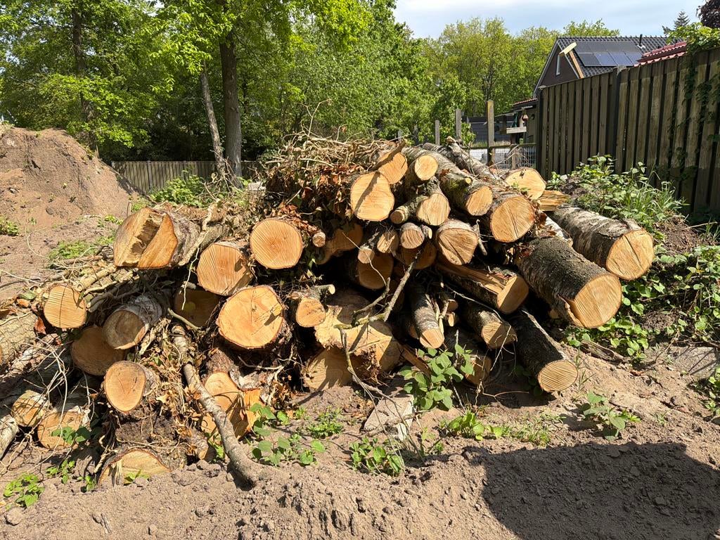 Berkenstammen - brandhout, 3 tot 6 m³, Ophalen, Berkenhout, Stammen