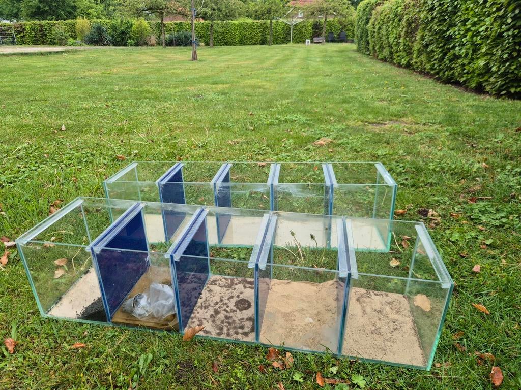 Kweekbakken vissen aquarium 100x25x25, Dieren en Toebehoren, Ophalen