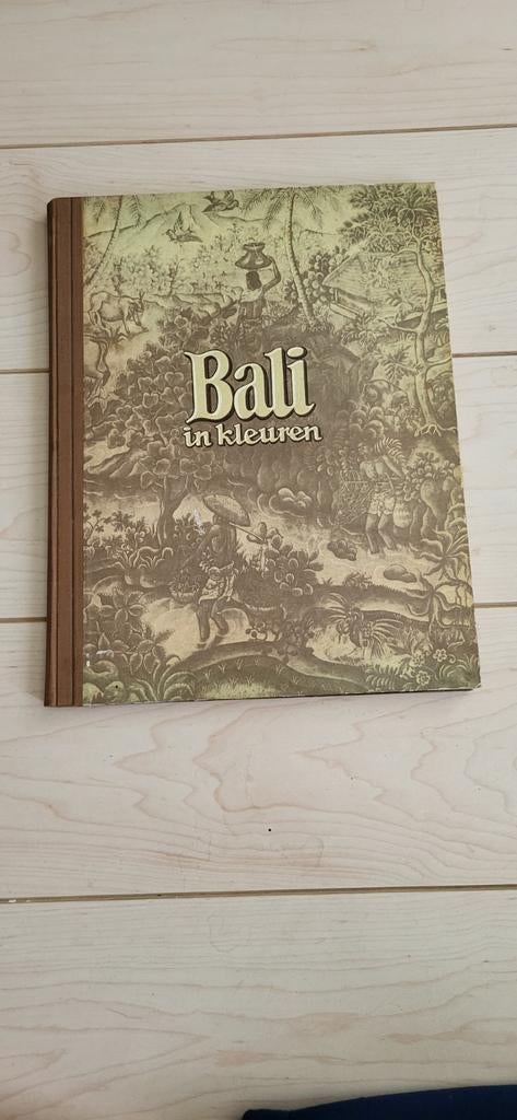 Bali in kleuren - Reisgids met prachtige illustraties, Ophalen of Verzenden, Gelezen, Piet Bakker
