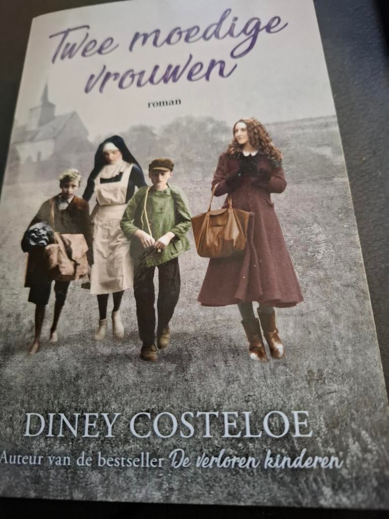 Twee moedige vrouwen - Diney Costeloe - Roman, Ophalen of Verzenden, Gelezen, Diney Costeloe, Nederland
