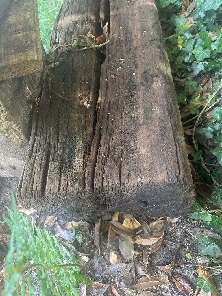 Houten biels, Ophalen, Gebruikt, 25 cm of meer, Biels