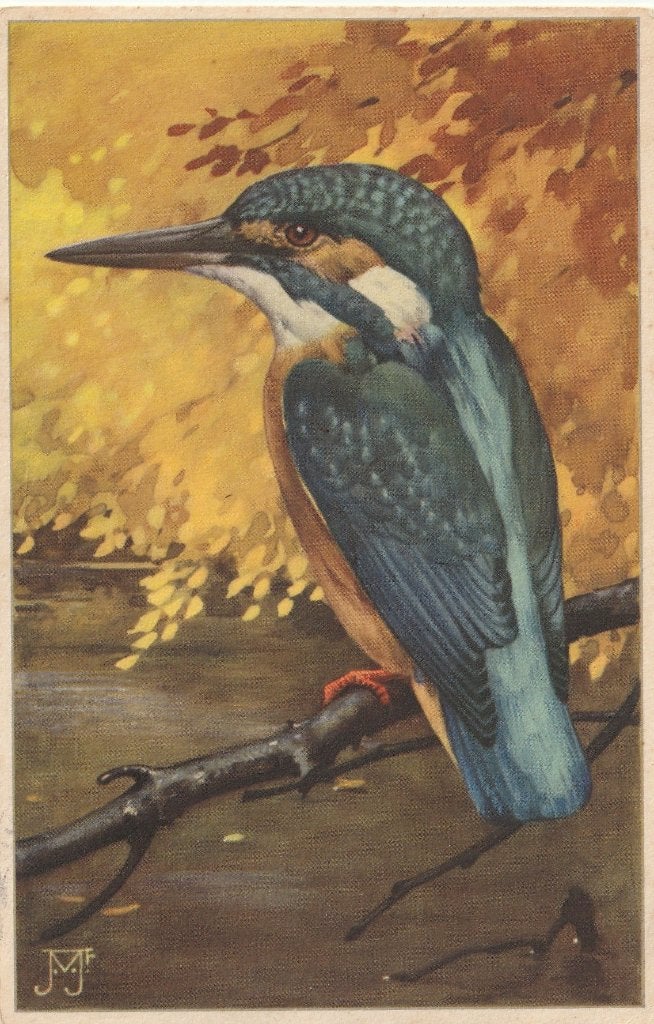 VOOR HET KIND IJSVOGEL  J VOERMAN UIT 1939 MOOIE KAART KO94, Verzamelen, Ansichtkaarten | Themakaarten, Ophalen of Verzenden, 1920 tot 1940