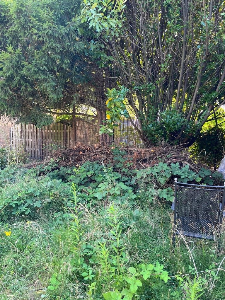 HULP in de tuin gezocht, Ophalen, Gebruikt, 20 m² of meer, Gras