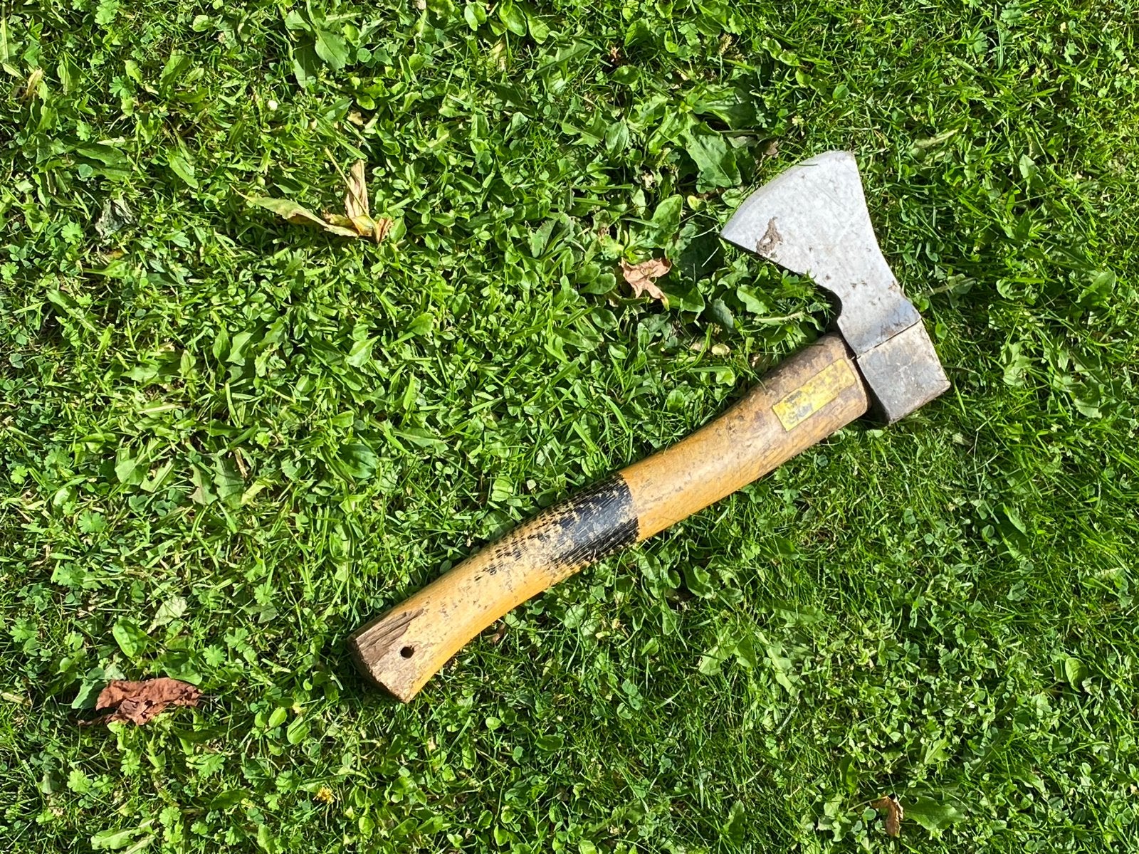 Gebruikte handbijl met houten handvat, Ophalen, Gebruikt, Overige typen