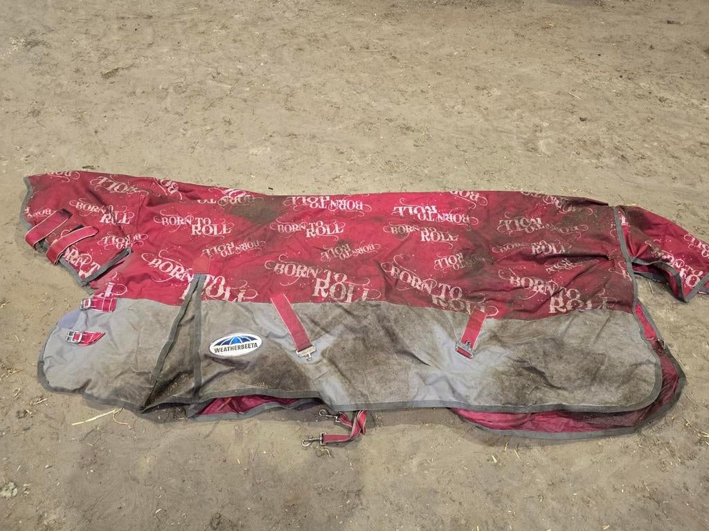 WeatherBeeta Rocky 220g Outdoordeken met hals maat 195, Full (L), Gebruikt, Rood, Ripstop