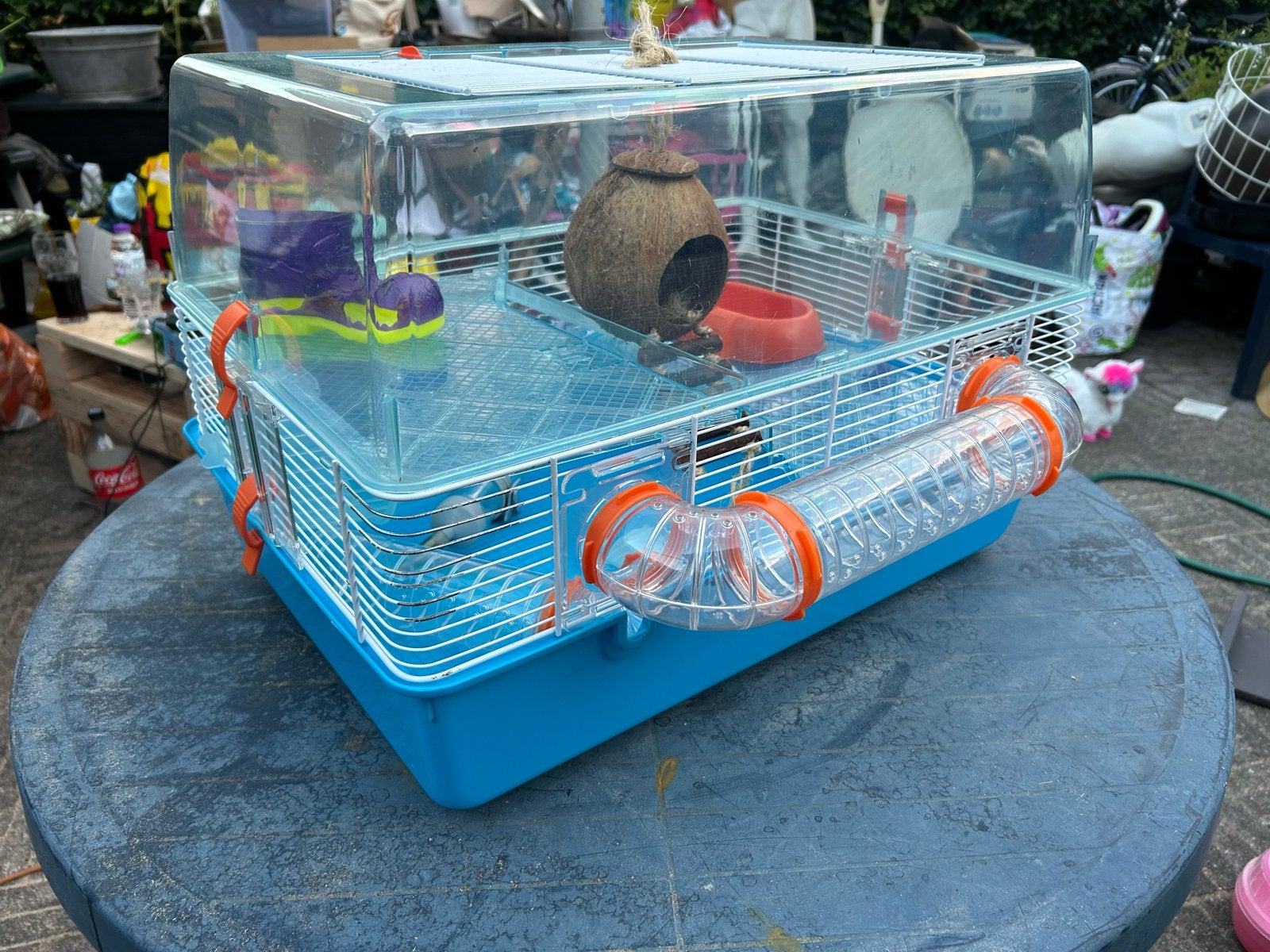 Hamsterkooi, Dieren en Toebehoren, Ophalen of Verzenden, Minder dan 75 cm, Kooi, Minder dan 60 cm