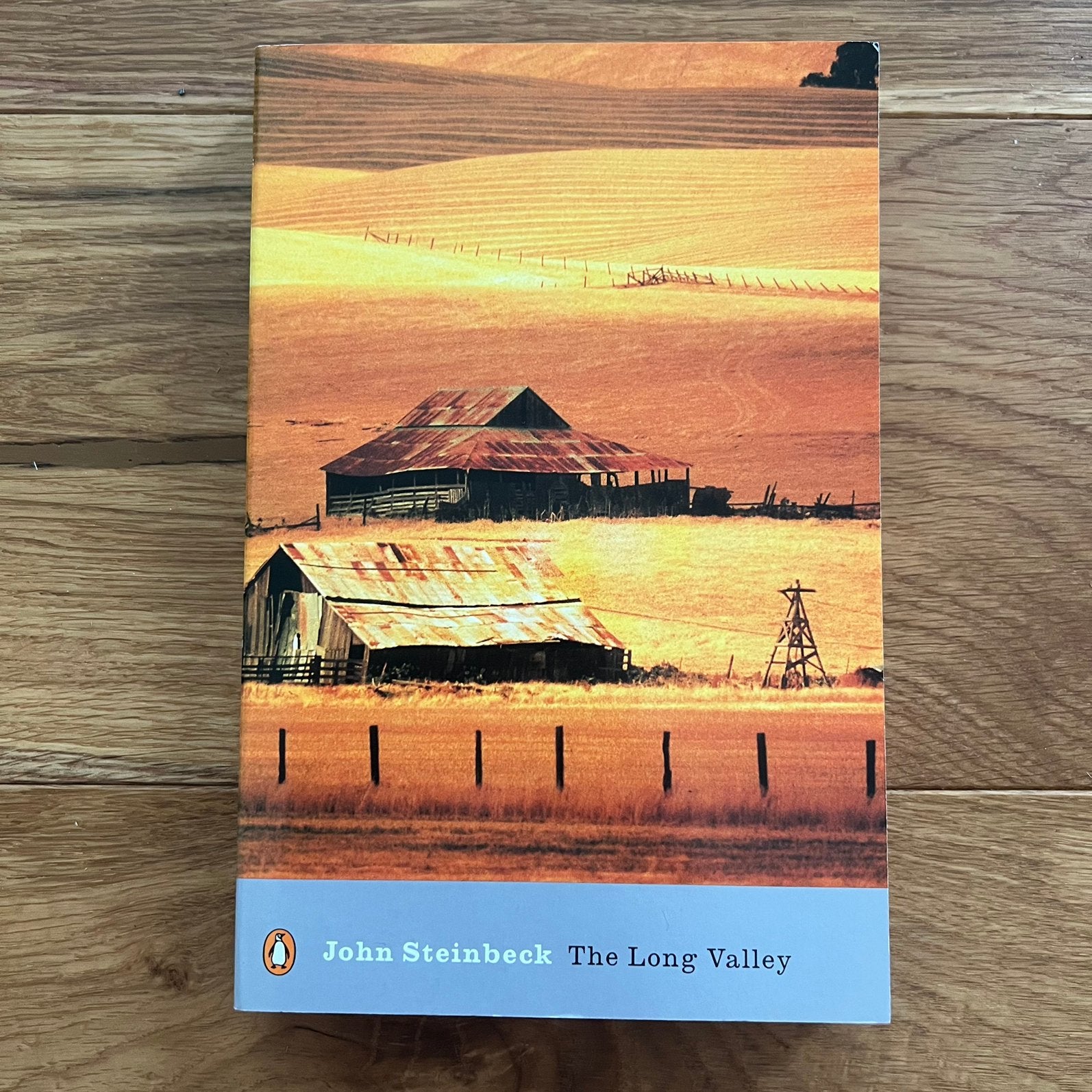 John Steinbeck - The Long Valley, Boeken, Ophalen of Verzenden, Zo goed als nieuw