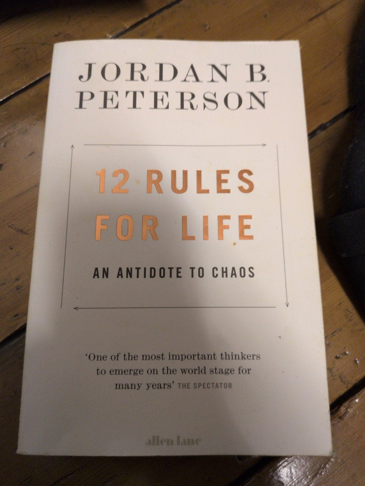 12 Rules for Life: An Antidote to Chaos - Jordan B. Peterson, Ophalen of Verzenden, Gelezen, Jordan B. Peterson, Europa overig