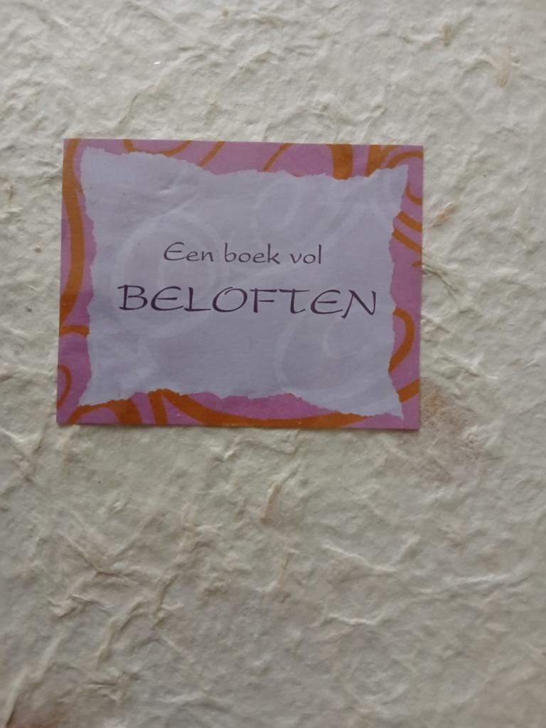 Uniek. Handgemaakt boek vol beloften - Uniek cadeau, Ophalen of Verzenden, Nieuw, Diverse auteurs