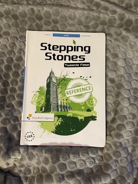 Stepping Stones tweede fase Engels Havo, Boeken, Ophalen of Verzenden, Gelezen, HAVO, Engels
