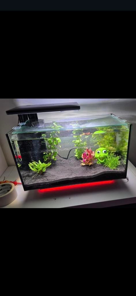 Aqaurium, Dieren en Toebehoren, Vissen | Aquaria en Toebehoren, Ophalen, Zo goed als nieuw, Leeg aquarium, Superfish