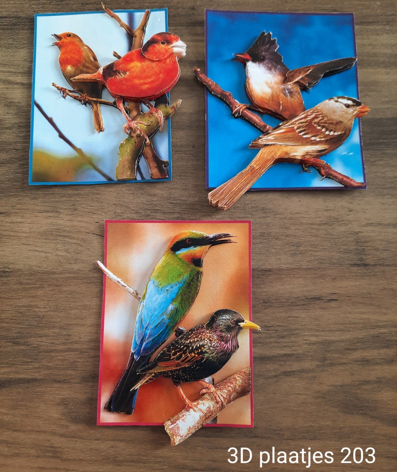 3d Plaatjes 203, Hobby en Vrije tijd, Ophalen of Verzenden, Nieuw, Overige thema's, Knipvel