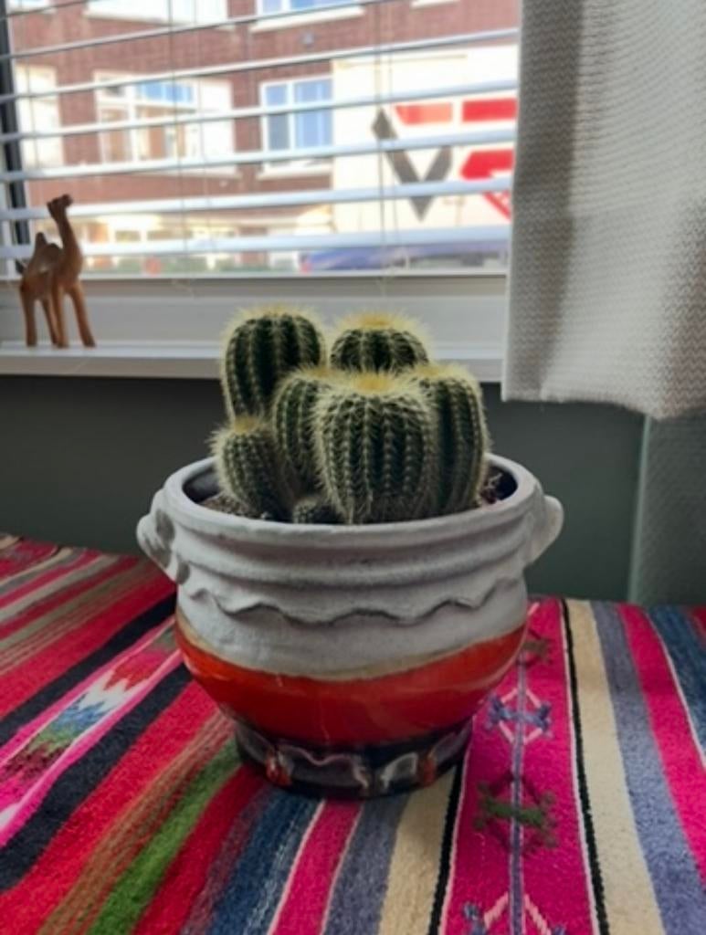 Wit-oranje retro vintage west germany bloempot, Ophalen, Rond, Zo goed als nieuw, Aardewerk