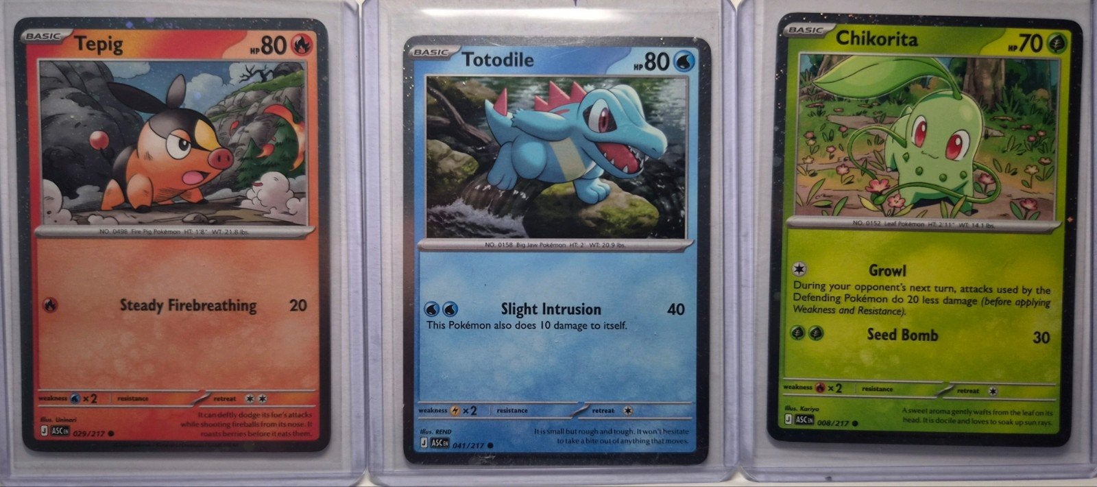 Pokémon Kaartenset: Tepig, Totodile, Chikorita Holo, Ophalen of Verzenden, Zo goed als nieuw, Meerdere kaarten