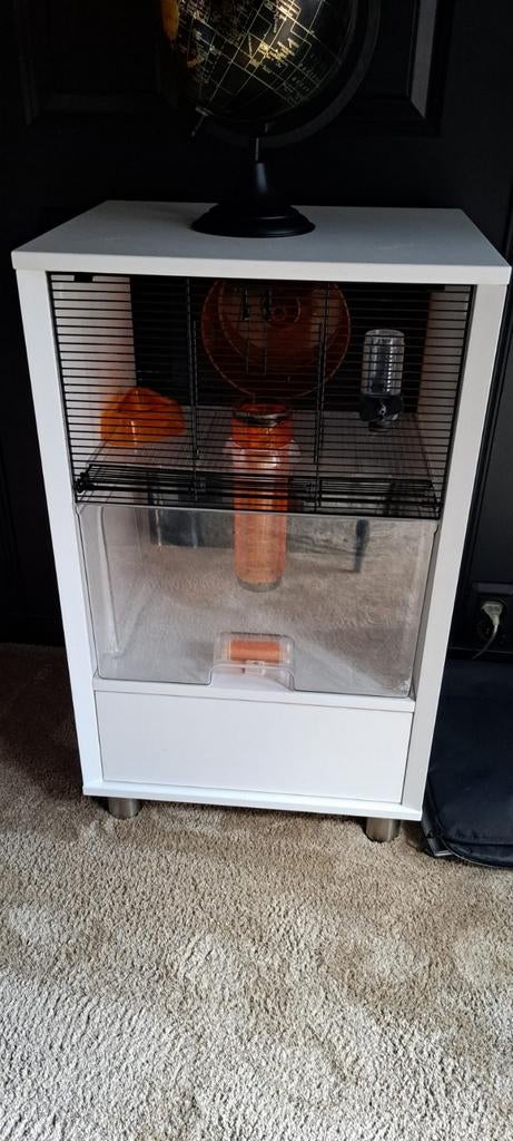 Hamsterkooi, Ophalen, Kooi, Gebruikt, 60 tot 90 cm