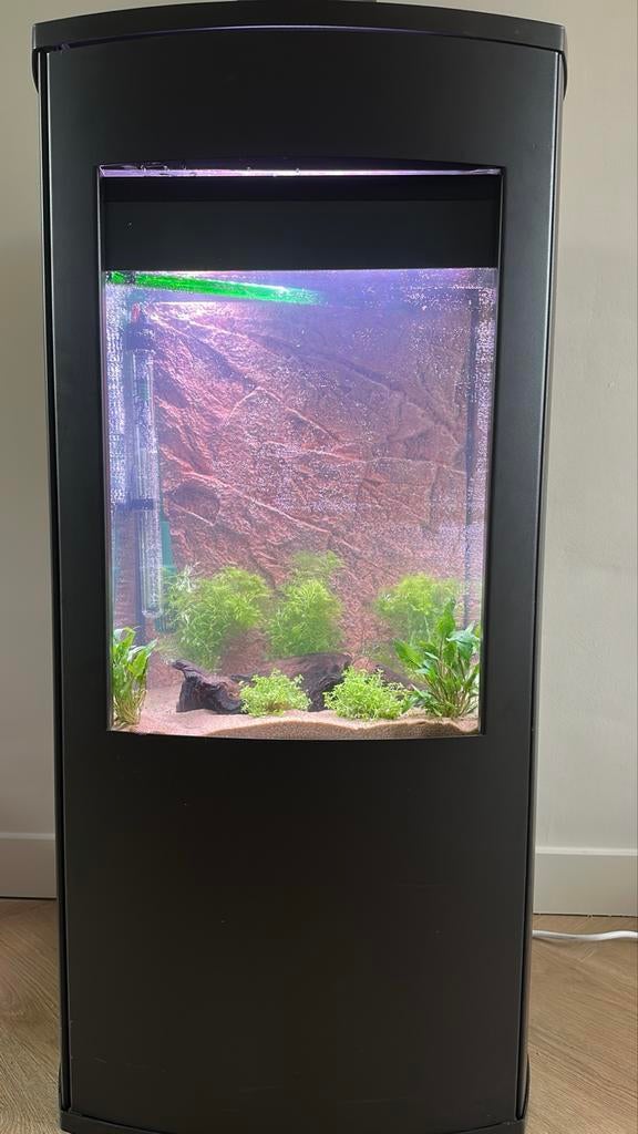 Ingebouwde aquarium, Ophalen of Verzenden, Zo goed als nieuw, Leeg aquarium