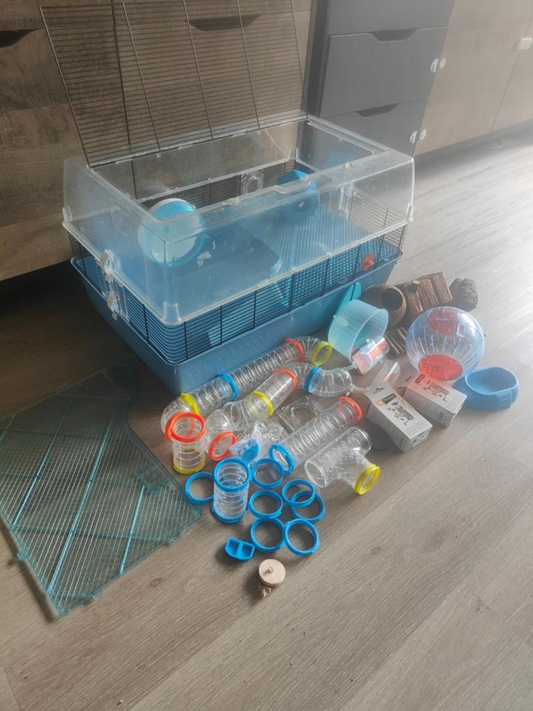Grote hamsterkooi met veel accessoires, Dieren en Toebehoren, Kooi, Gebruikt, Hamster, 75 tot 110 cm