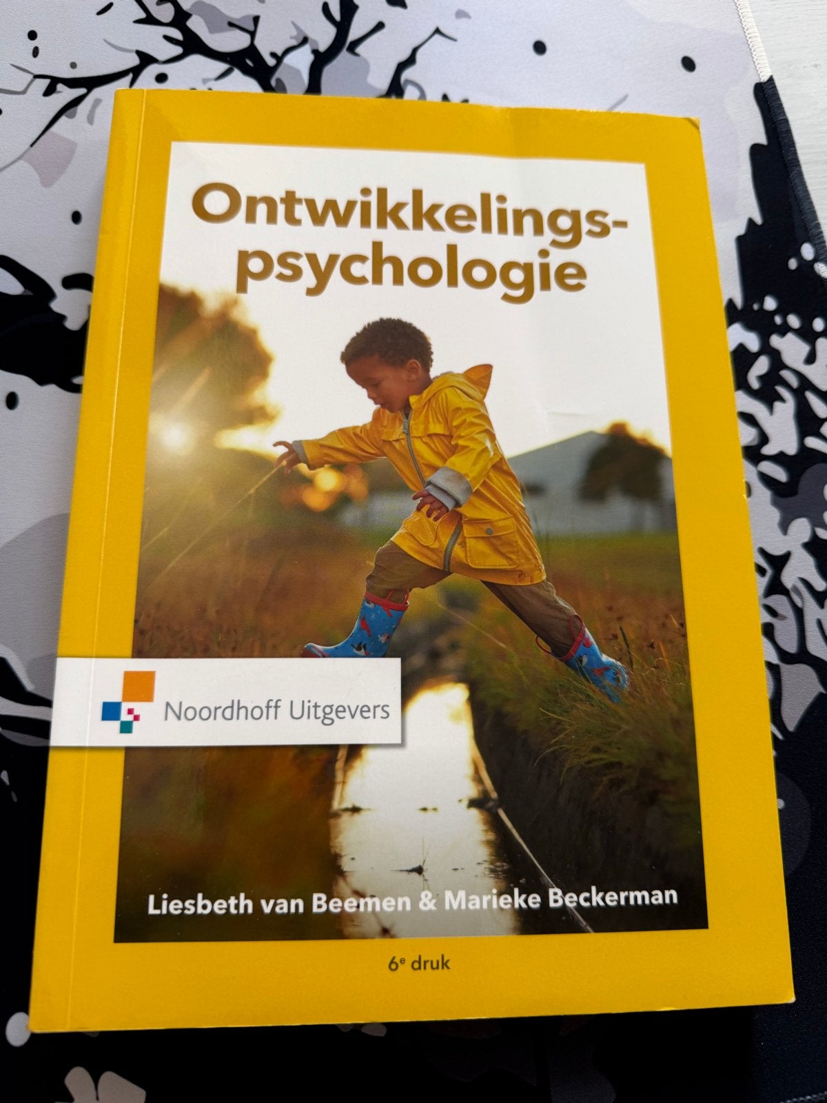 Ontwikkelingspsychologie - 6e druk, Ophalen of Verzenden, Zo goed als nieuw, Ontwikkelingspsychologie