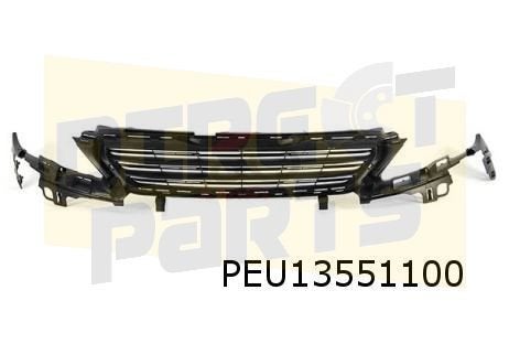 Peugeot 308 (11/13-10/17) (T9) grillerooster (versie Acces /