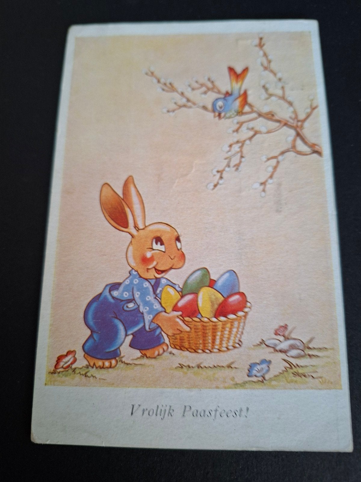 Steen, Haas met gekleurde eieren mandje, vogel, Verzenden, 1940 tot 1960, Gelopen, Overige thema's