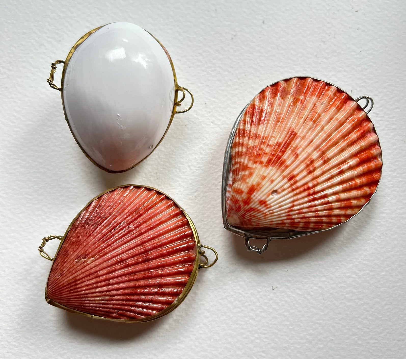 3 x sieraden echte schelpen bakjes prijs voor drie, niet los, Antiek en Kunst, Ophalen of Verzenden