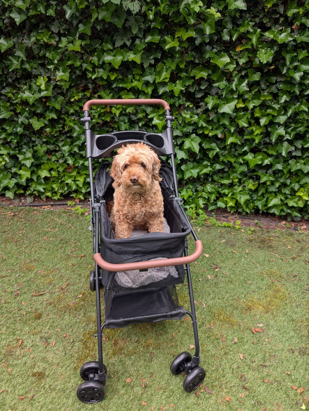 hondenwagen/honden buggy 3-in-1, merk PRIORPET, NIEUW, Ophalen of Verzenden, Nieuw