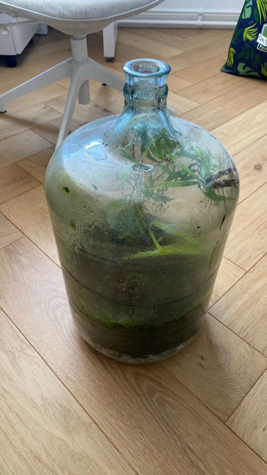 Grote glasen fles, Ophalen, Zo goed als nieuw