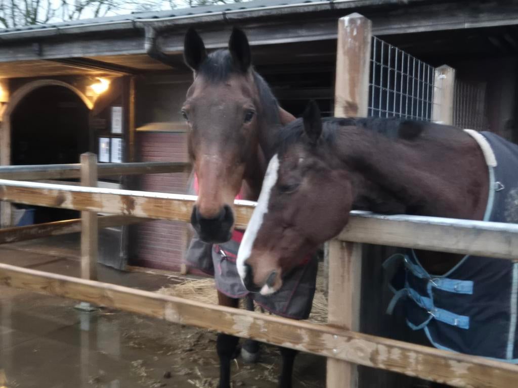 Leuke instructrice gezocht voor kinderlessen Delft