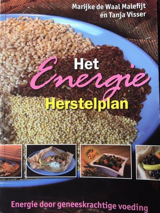 Marijke de Waal Het ernergie herstelplan, Ophalen of Verzenden, Nieuw, Spiritualiteit algemeen, Achtergrond en Informatie
