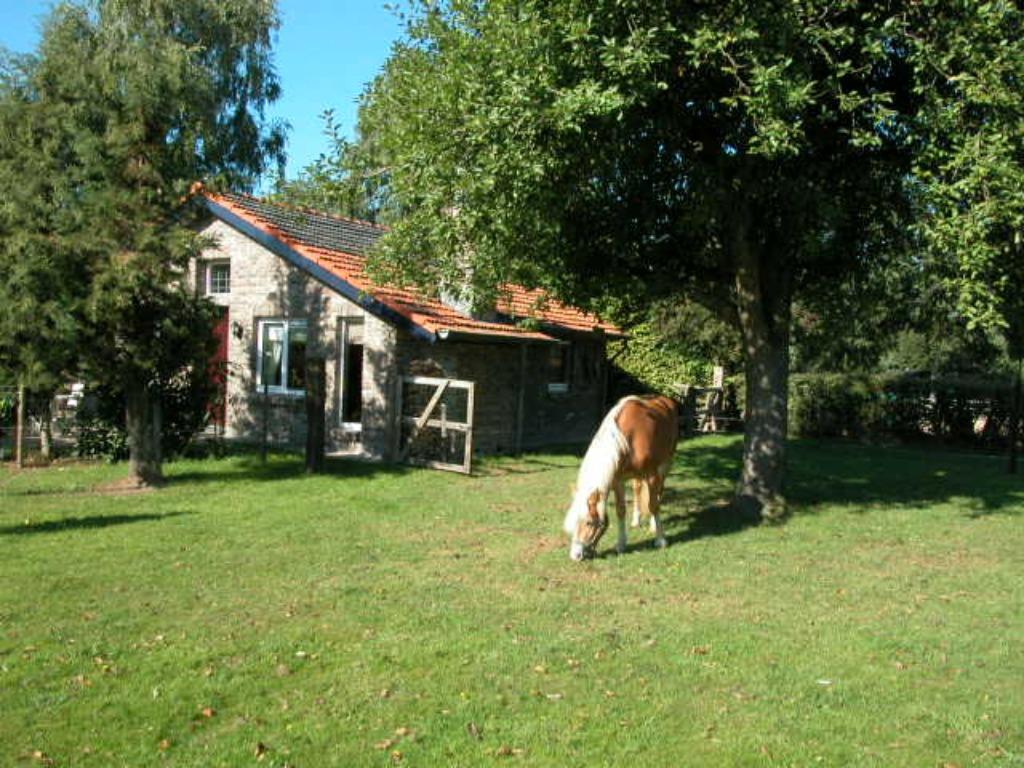 Vakantiewoning “in de Boomgaard met Open Haard” (4 personen), 2 slaapkamers, Limburg, Open haard, Landelijk