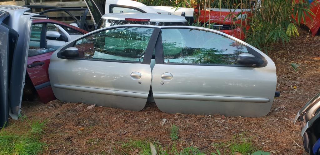 PEUGEOT 206 PORTIEREN CHAMPAGNE METALLIC BJ 98 TOT 2006, Auto-onderdelen, Carrosserie en Plaatwerk, Deur, Gebruikt, Ophalen of Verzenden