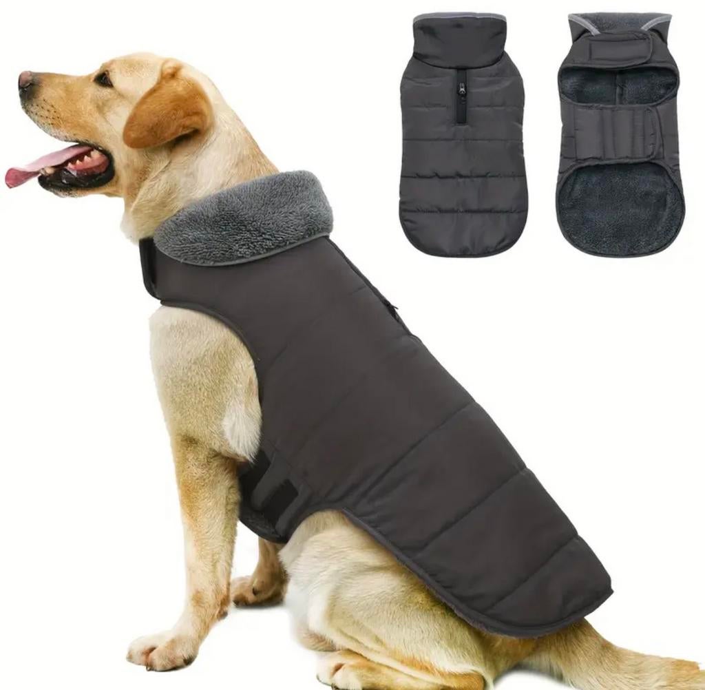 2 hondenjasjes maat XS, Dieren en Toebehoren, Hondenkleding, Nieuw, Ophalen