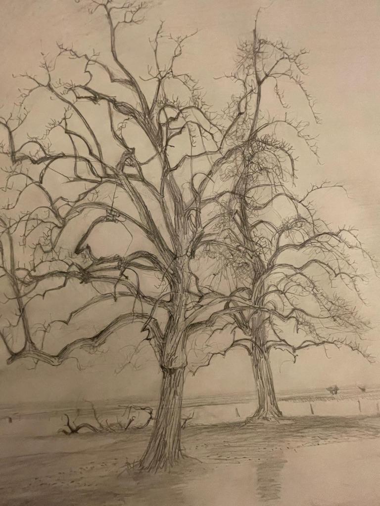 Patrick Creyghton (1934) - twee prachtige potloodtekeningen, Ophalen
