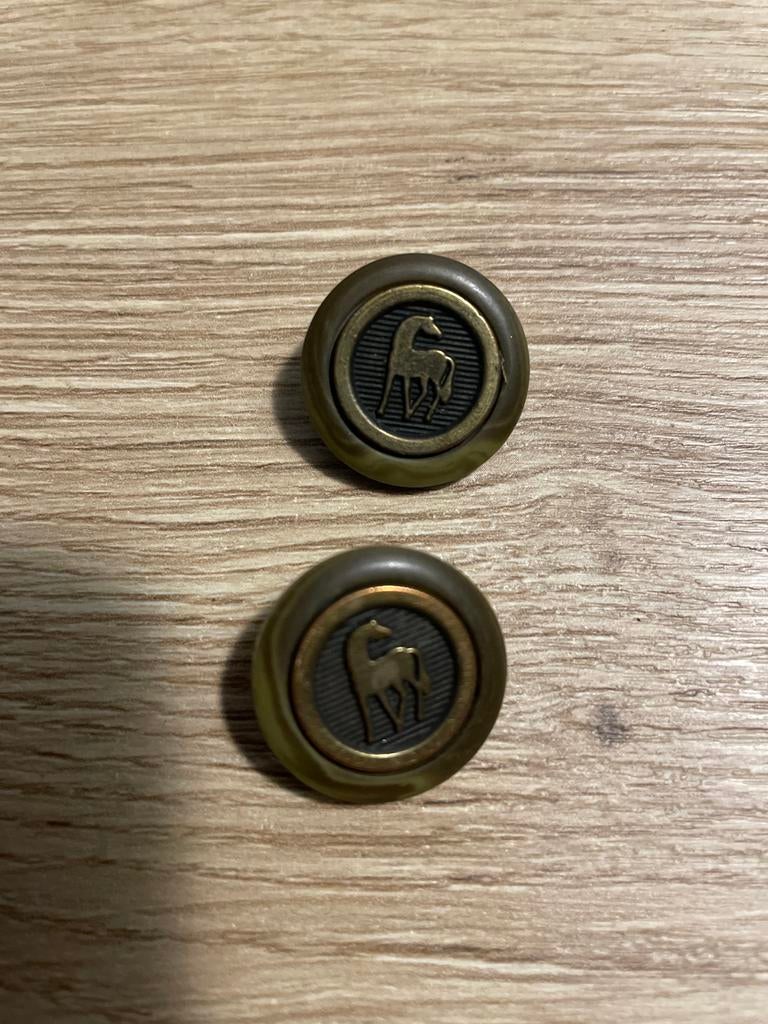 Vintage Knopen met Paardenmotief - Set van 2, Hobby en Vrije tijd, Naaien en Fournituren, Ophalen of Verzenden, Gebruikt, Knoop of Knopen