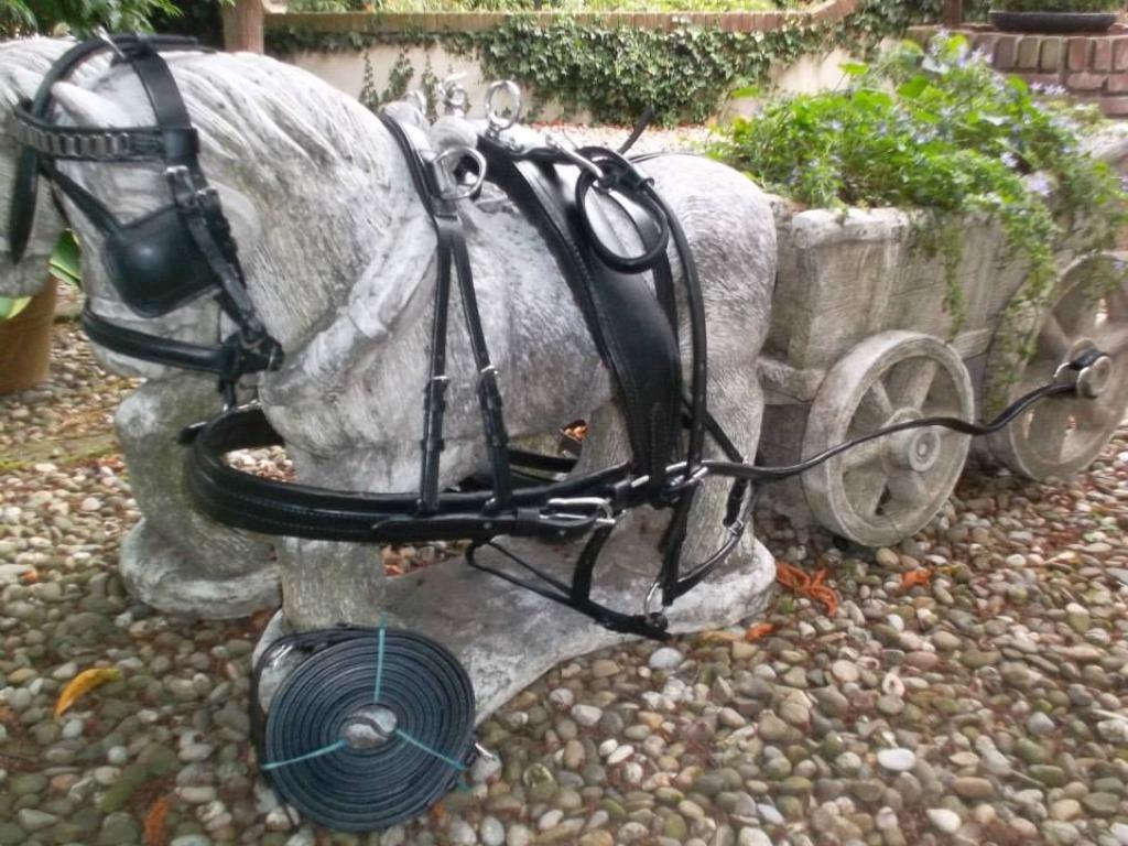 Tweespan paardentuig, Dieren en Toebehoren, Paarden en Pony's | Hoofdstellen en Tuigage, Ophalen of Verzenden, Nieuw, Recreatie