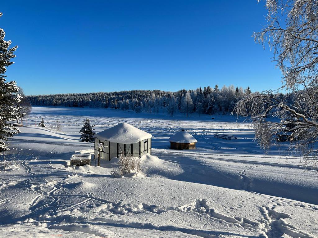 Snowscooter en husky safari’s, zweeds Lapland, Aurora, skiën