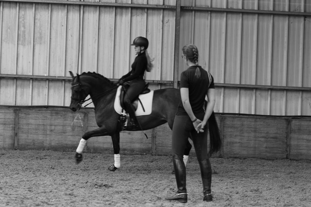 Paard- en paardrij instructie, Stalling of Weidegang