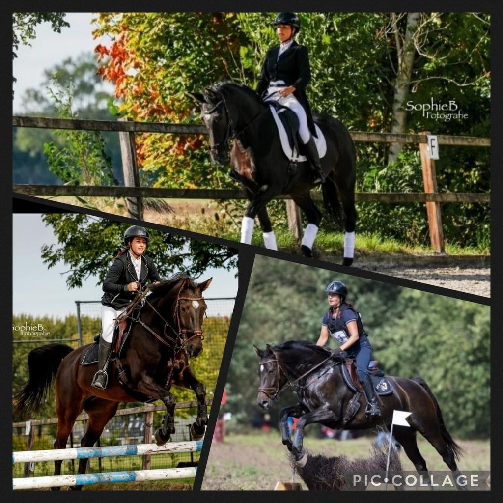 ️Paard(rij) instructie/ trainer les aangeboden️ NCSAH & ORUN, Paardrijles of Ponykampen