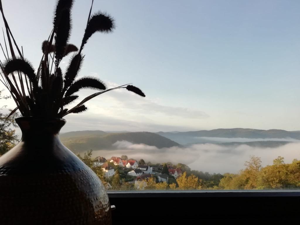 Vakantiehuis met 4 en 9 persoons woning te huur- Edersee, Vakantie, Vakantiehuizen | Duitsland, 4 of meer slaapkamers, Open haard
