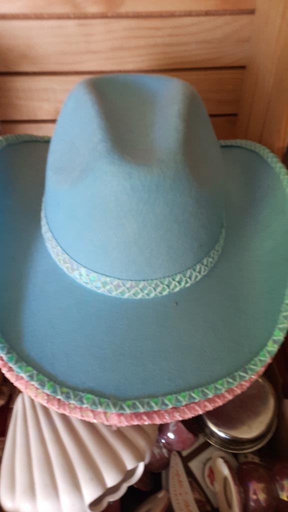Leuke cowboy hoeden, Hoed, Zo goed als nieuw, Generic, One size fits all