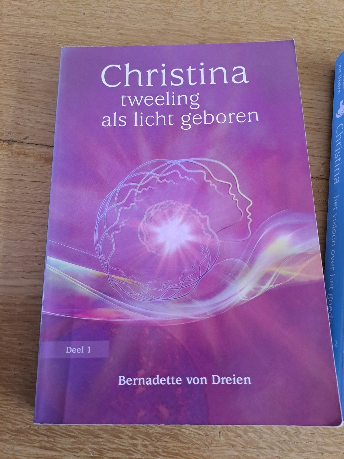 Bernadette von Dreien - Tweeling als licht geboren, Ophalen of Verzenden, Zo goed als nieuw, Spiritualiteit algemeen, Achtergrond en Informatie