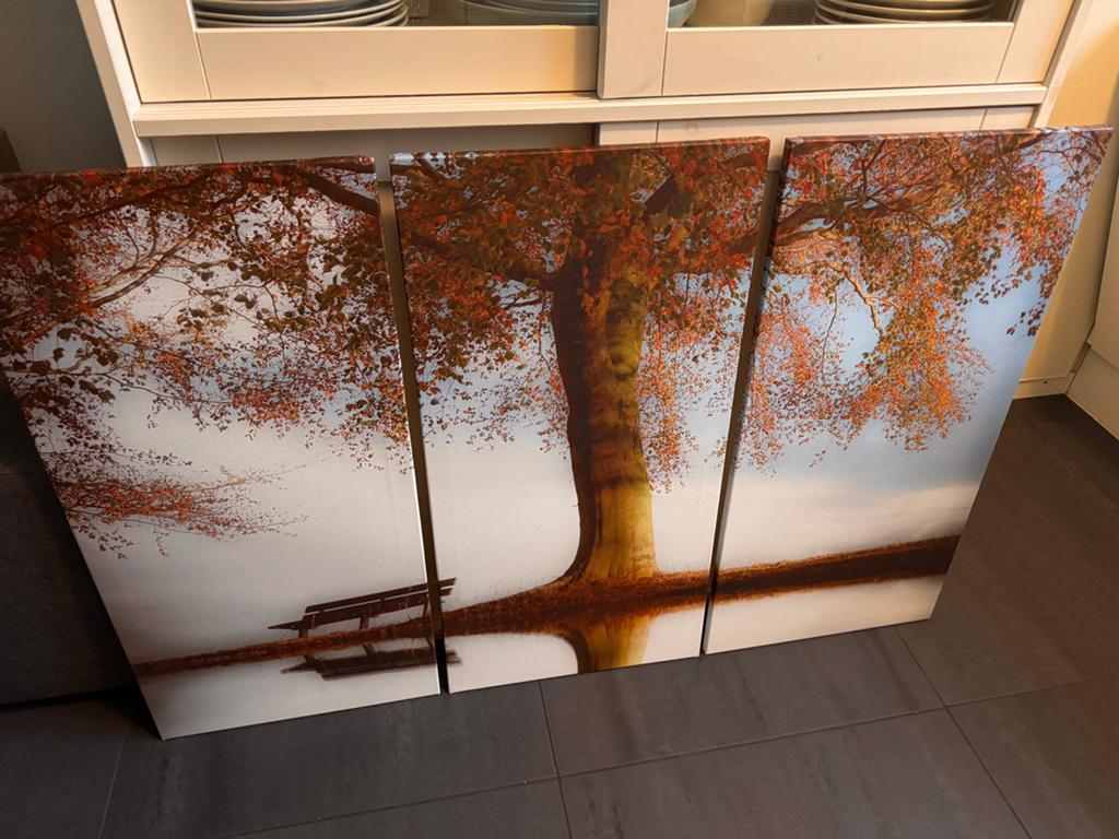 Drieluik canvas, Ophalen, Nieuw, 100 tot 125 cm, Foto of Poster