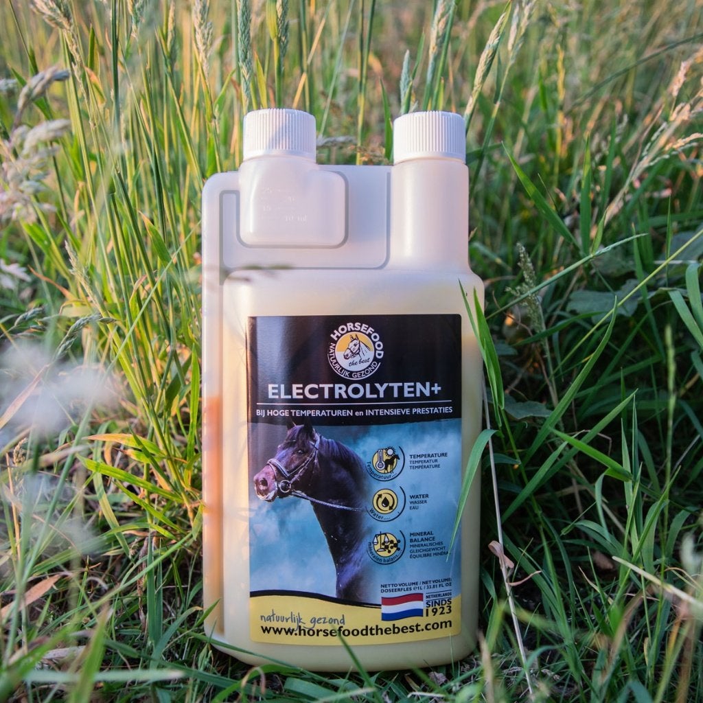 Horsefood Electrolyten+ vloeibaar voor Paarden, Ophalen of Verzenden, Nieuw, Voedingssupplement