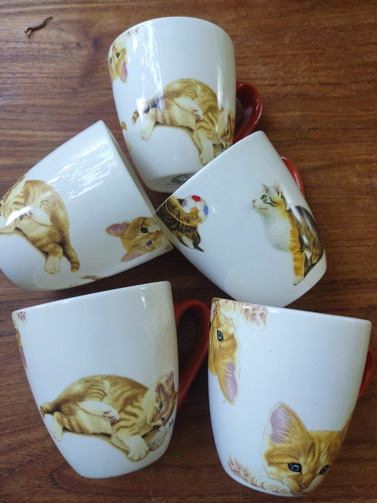 Set van 5 kattenmokken - Designed by Francien van Westering, Overige merken, Keramiek, Zo goed als nieuw, Modern