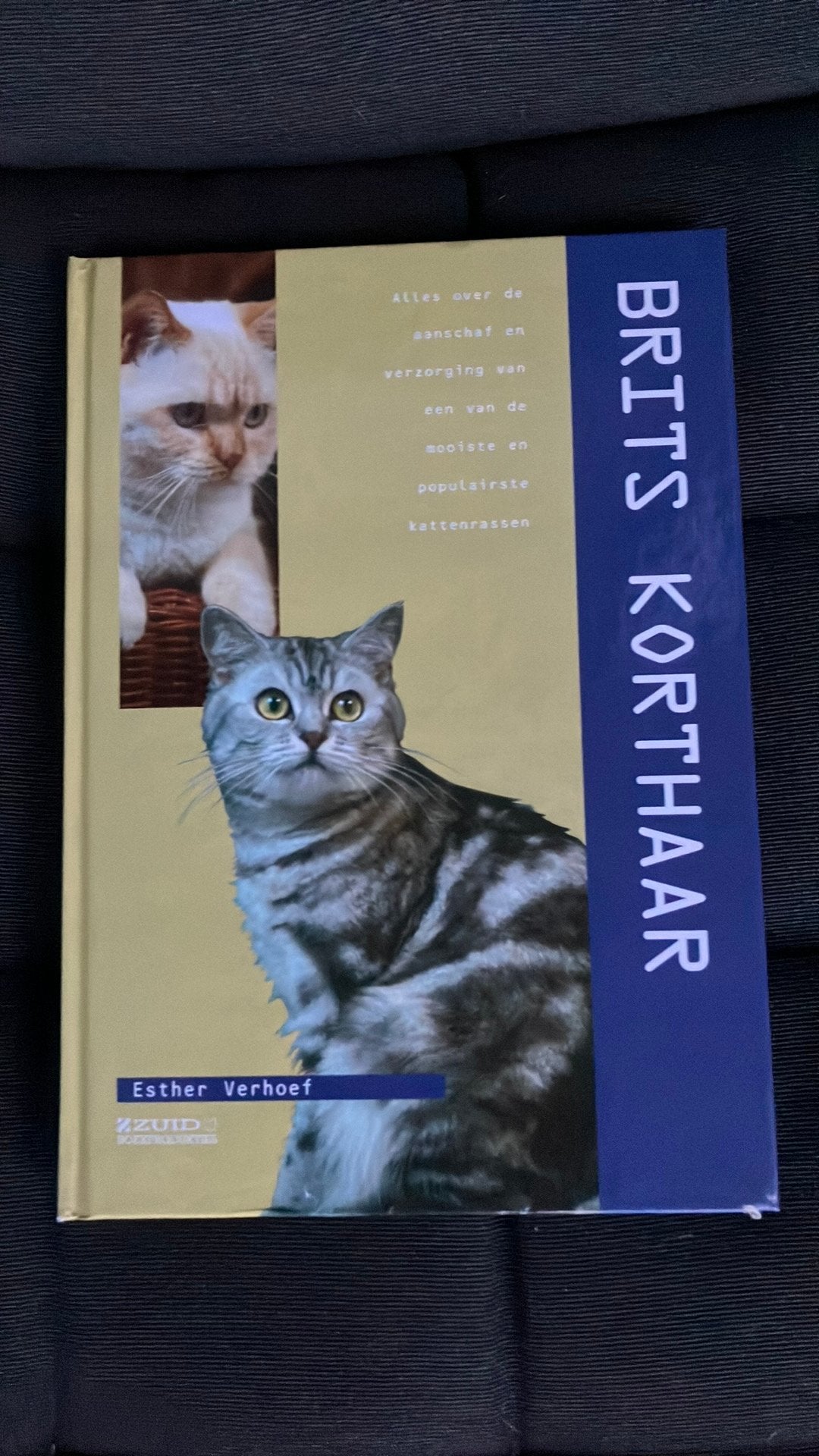 Brits Korthaar. Geschreven door Esther Verhoef, Boeken, Ophalen of Verzenden, Zo goed als nieuw, Katten