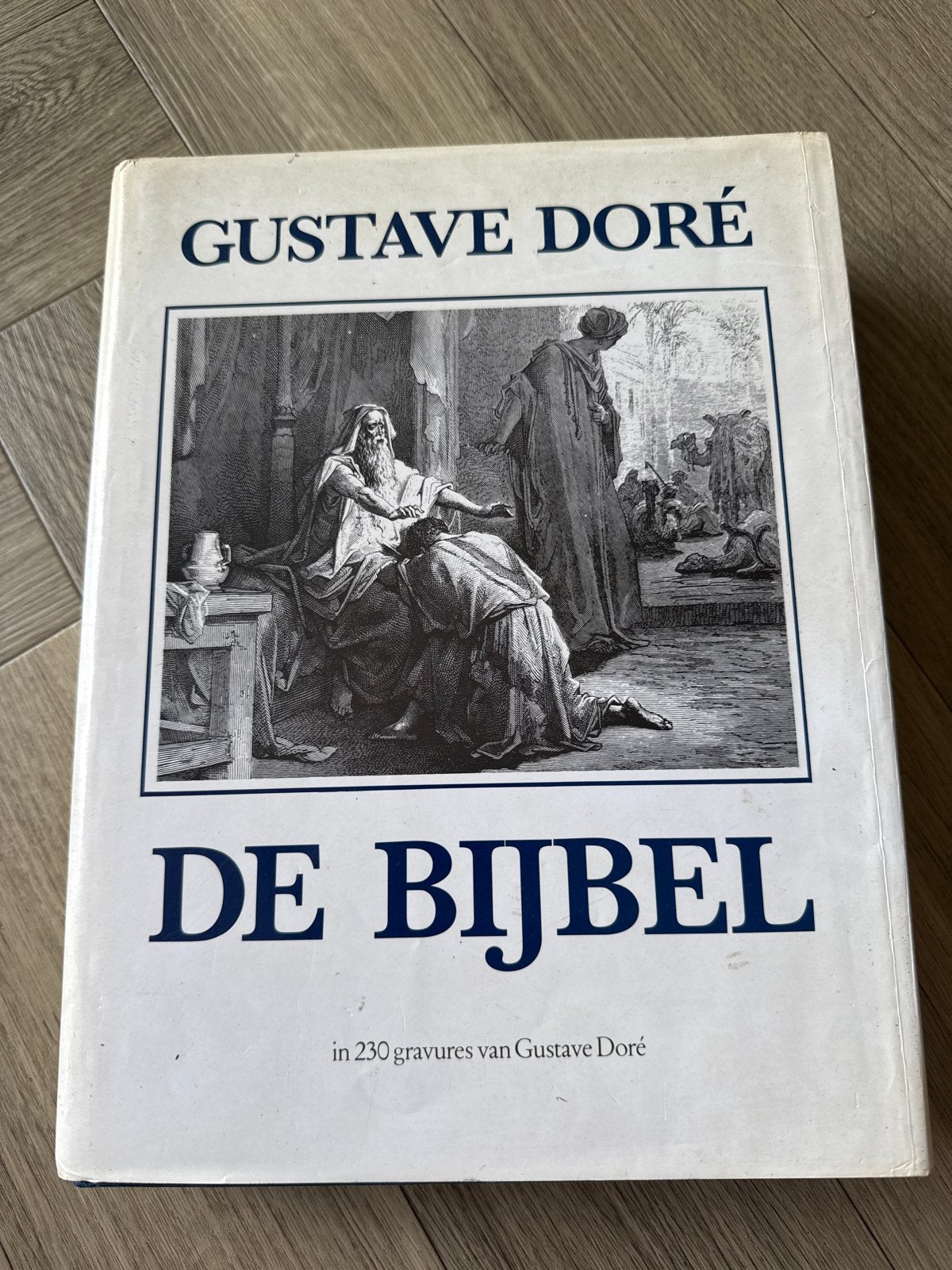 De Bijbel met 230 gravures van Gustave Doré, Boeken, Ophalen of Verzenden, Gelezen, Christendom | Katholiek