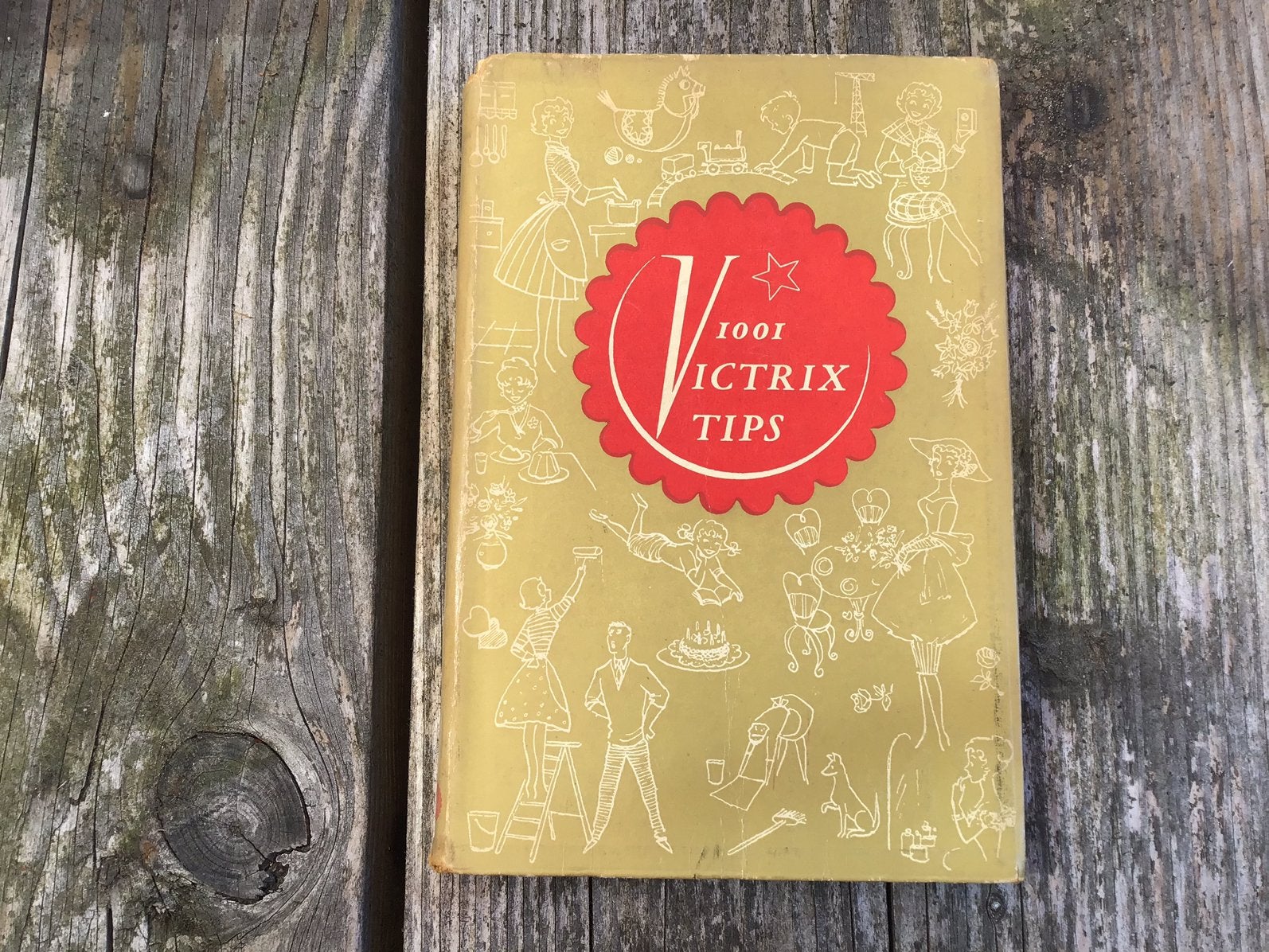 1001 Victrix tips - Haitsma Mulier-van Beusekom, Ophalen of Verzenden, Gelezen