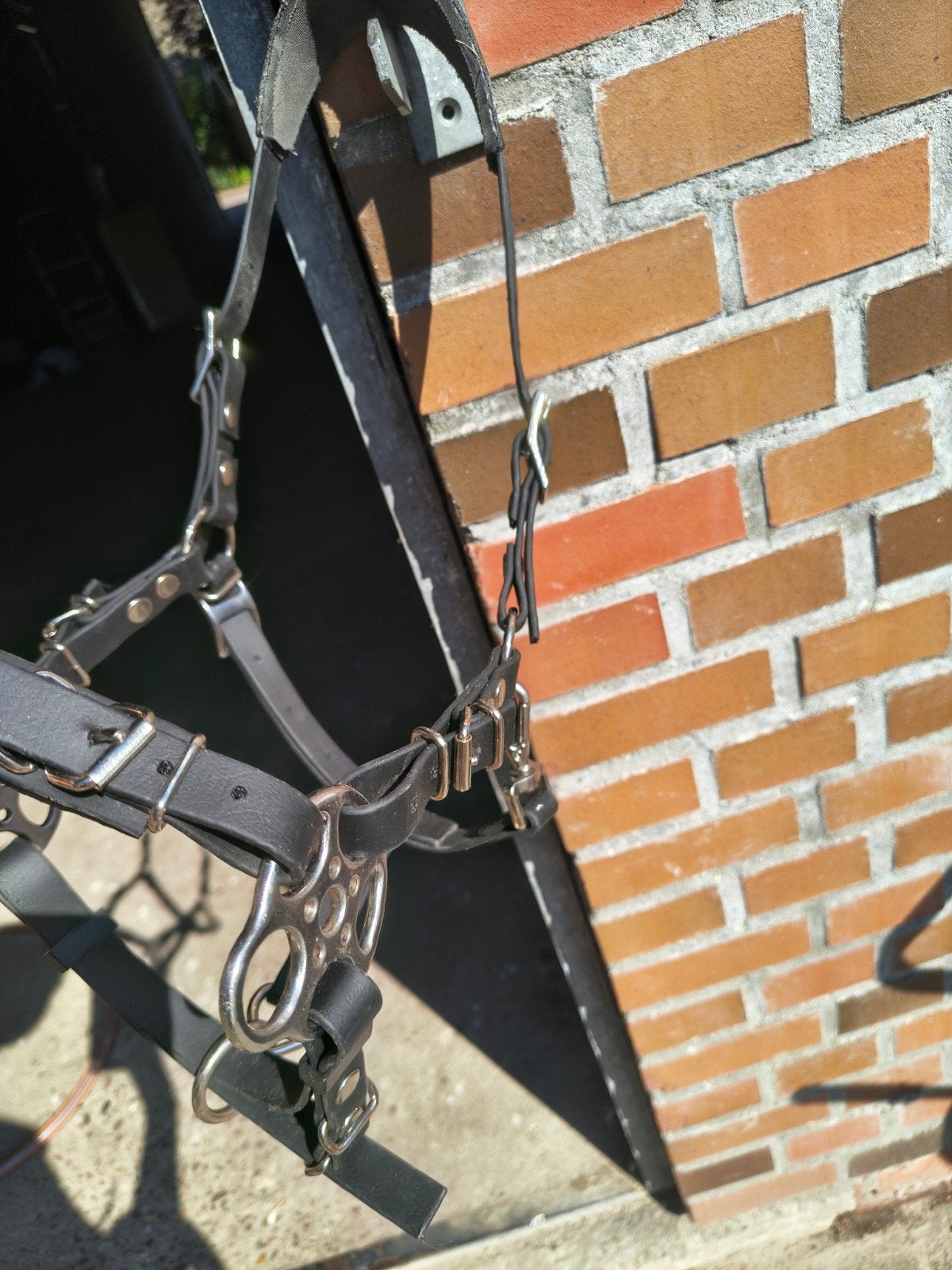 Bitloos hoofdstel maaikes stal en style, Dieren en Toebehoren, Ophalen of Verzenden, Hoofdstel, Shetlander